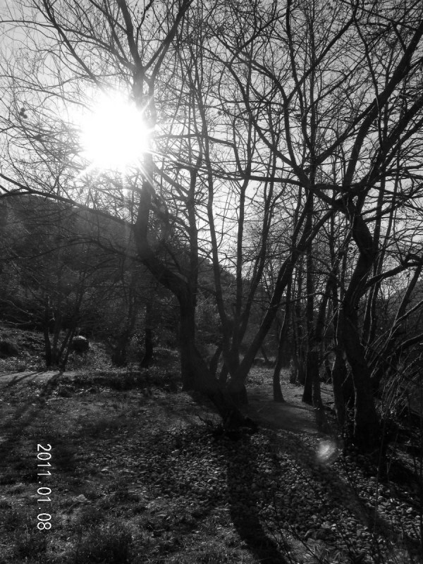 DSCN3958.JPG