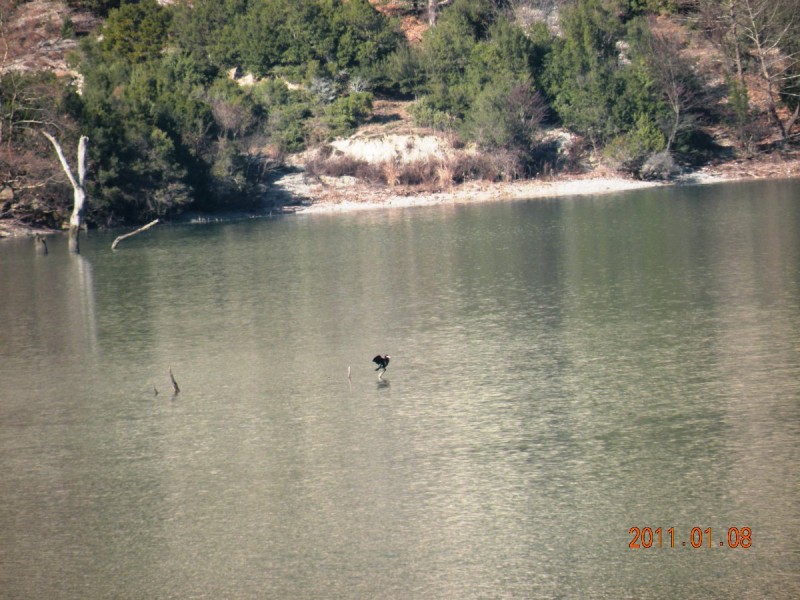DSCN3995.JPG