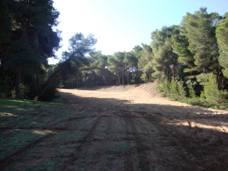 DSC08270.jpg