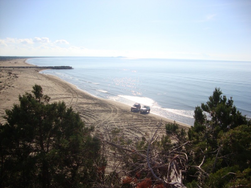 DSC08287.jpg