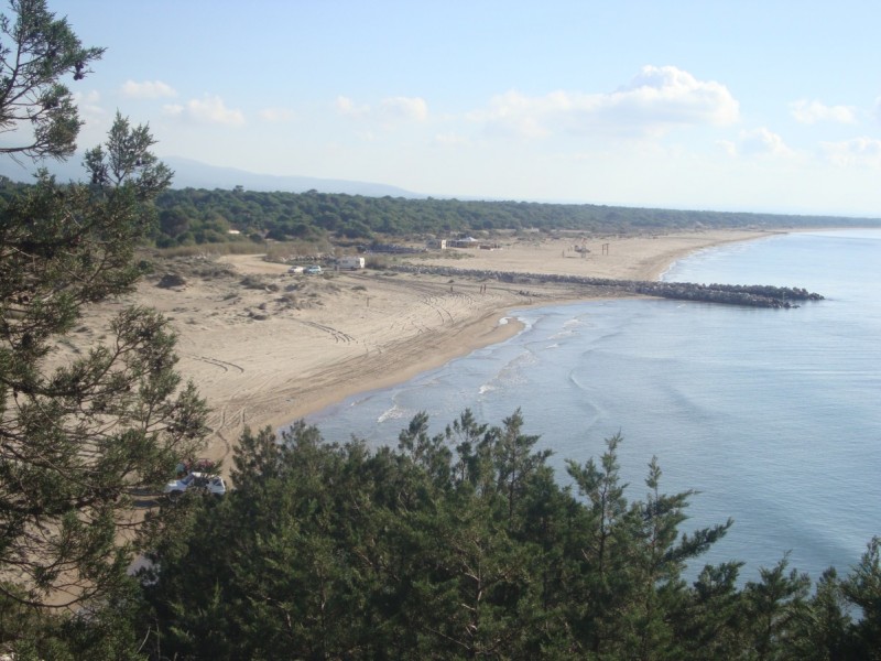 DSC08294.jpg