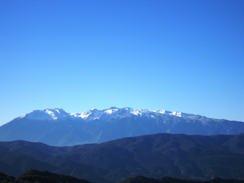 IMG_9590.jpg