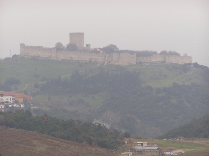 P1039642.jpg