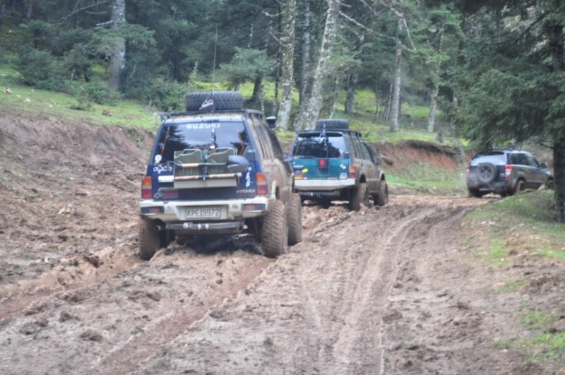 DSC_6448.jpg