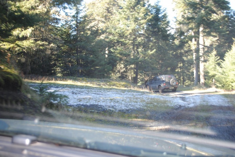 DSC_5478.jpg