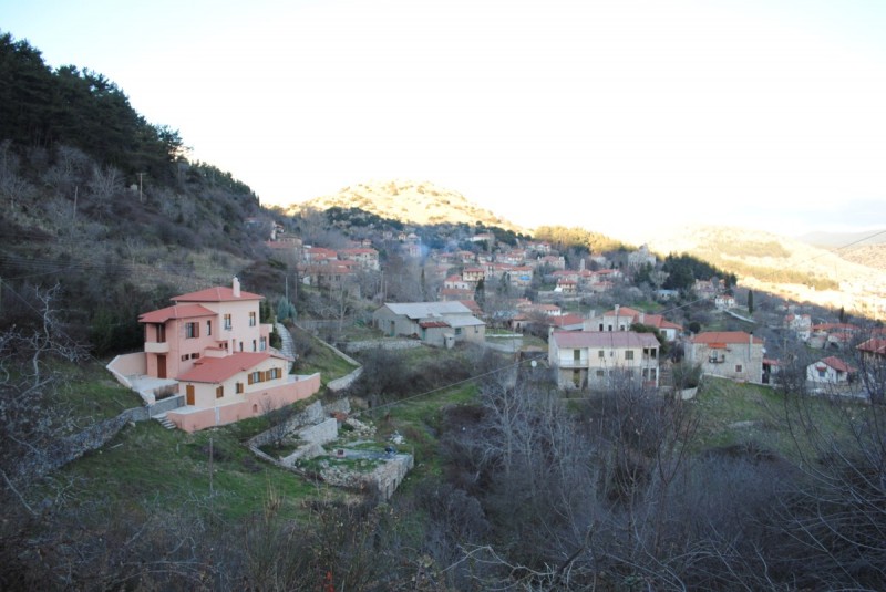 DSC_5628.jpg