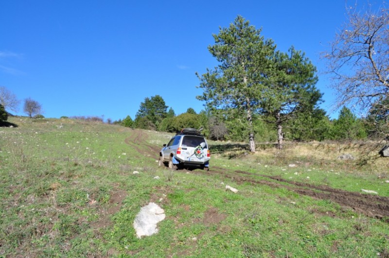 DSC_6275.jpg