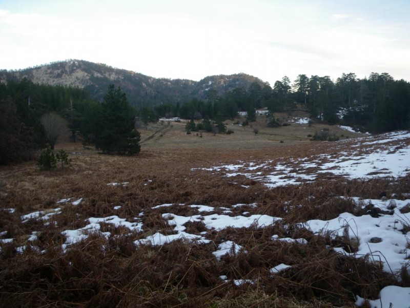 IMGP1196_1024x768.jpg