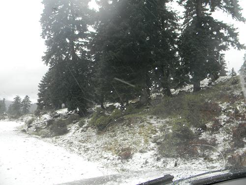 DSCN0078n.JPG