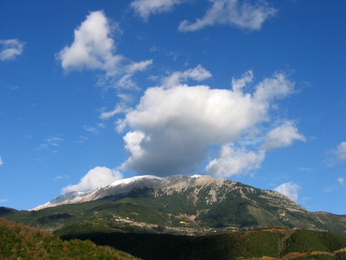 53.jpg