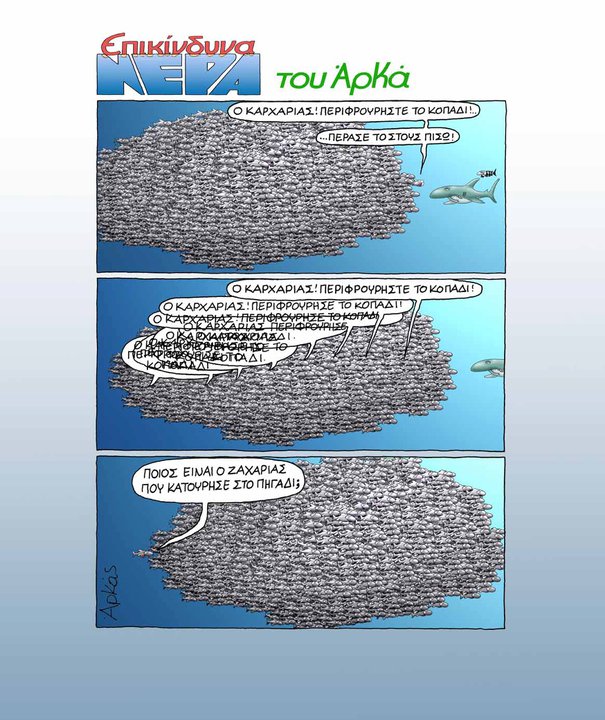 ΑΡΚΑΣ12.jpg