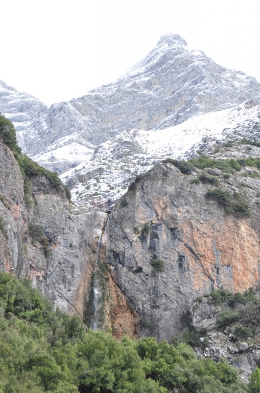 DSC_3576jpg.jpg