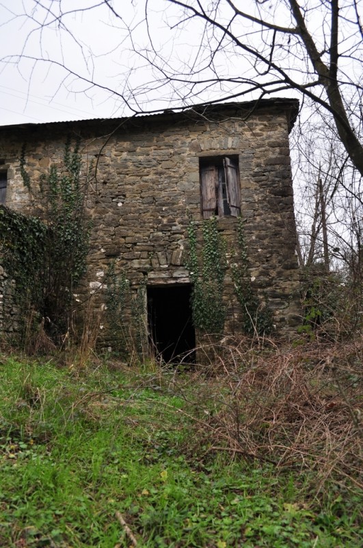 DSC_3591jpg.jpg