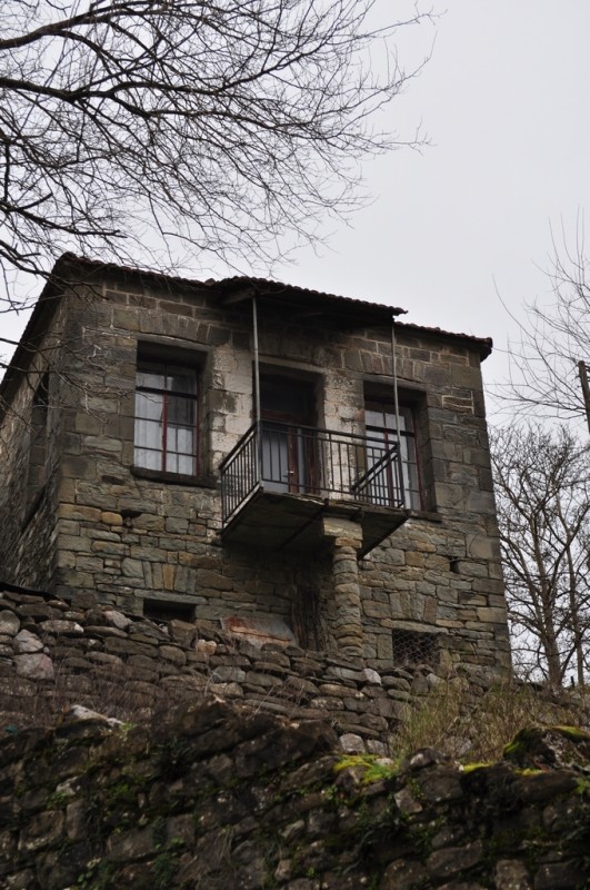 DSC_3593jpg.jpg