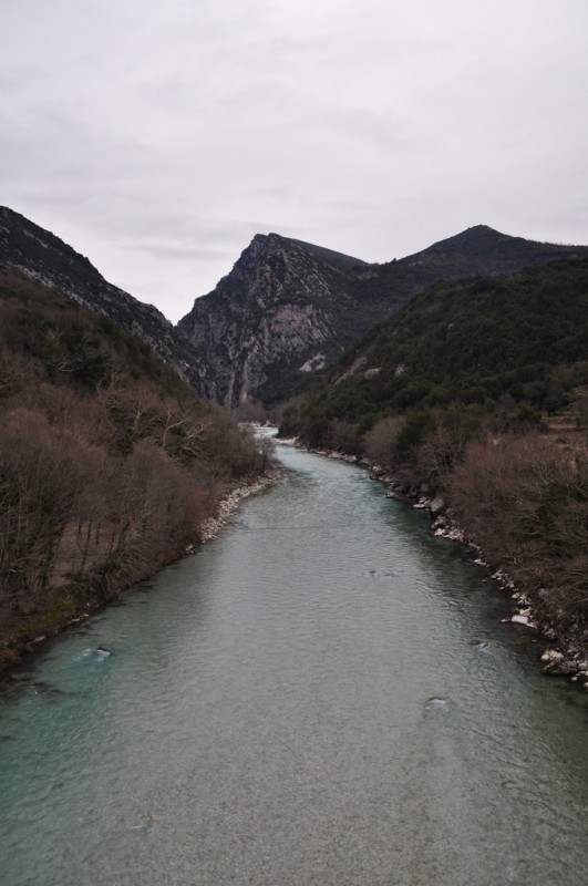 DSC_3609jpg.jpg
