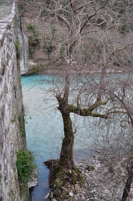 DSC_3617jpg.jpg