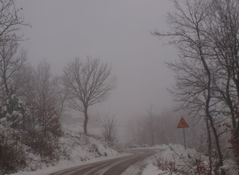 p1282619a-qpr.jpg