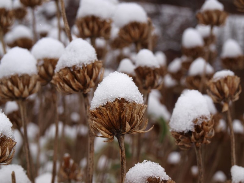 p1292753-qpr.jpg