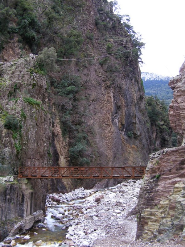 P1289660.jpg