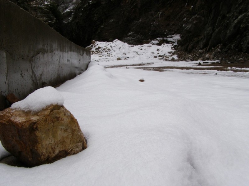 P1299687.jpg
