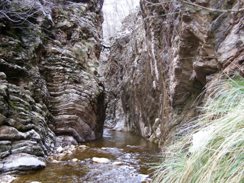 P1299698.jpg