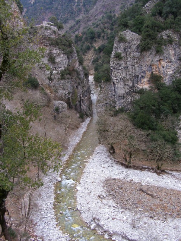 P1299707.jpg