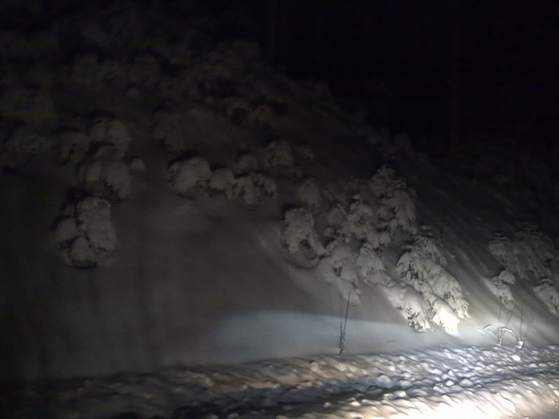 28012011083.jpg