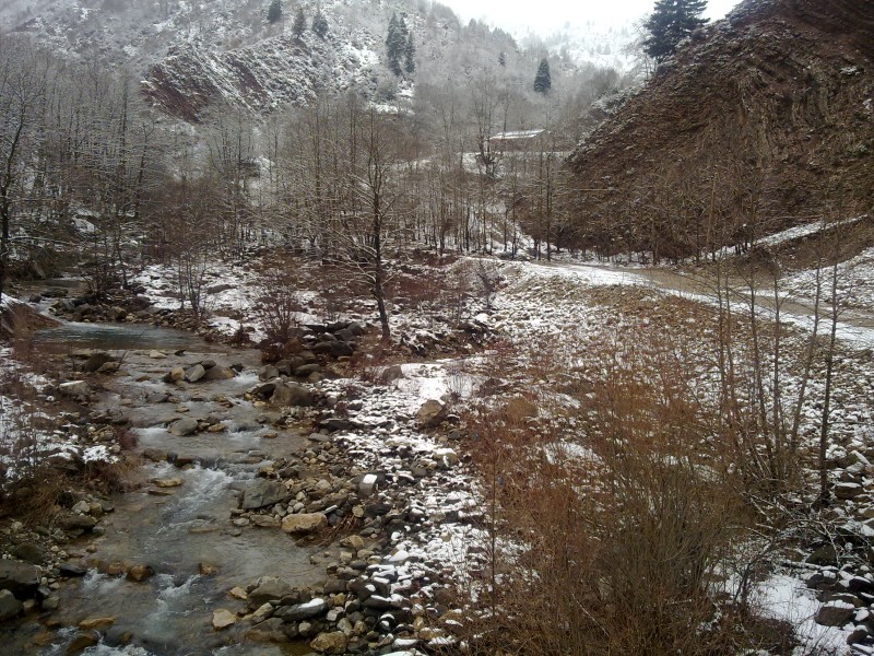 29012011093.jpg