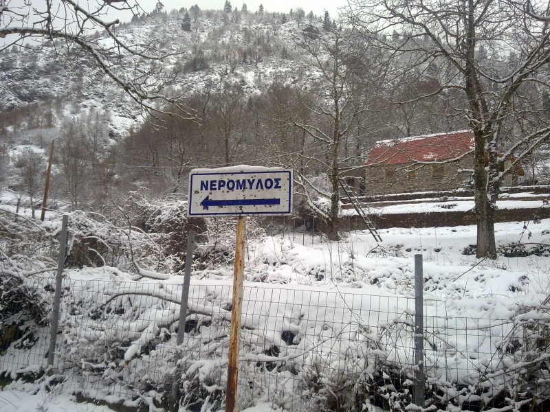 29012011106.jpg