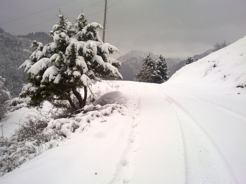 29012011111.jpg