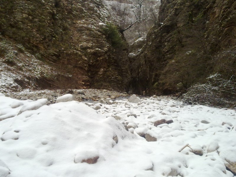 29012011119.jpg