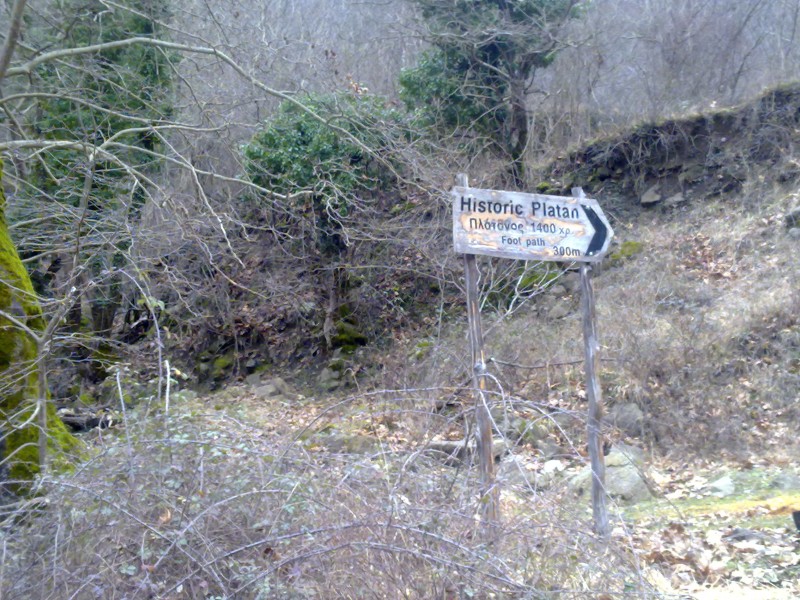 29012011124.jpg