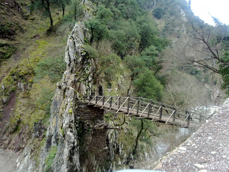 29012011125.jpg