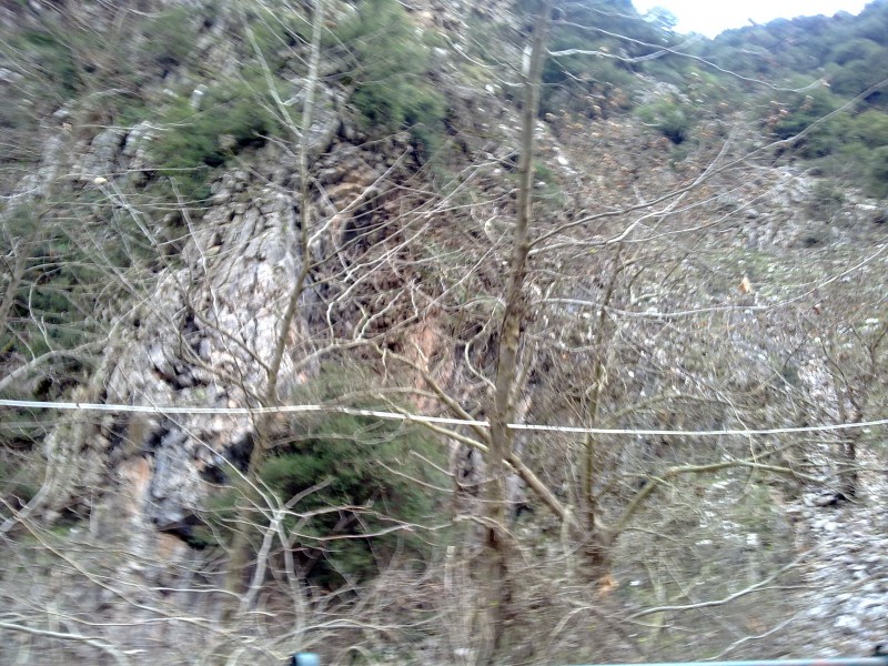 29012011129.jpg