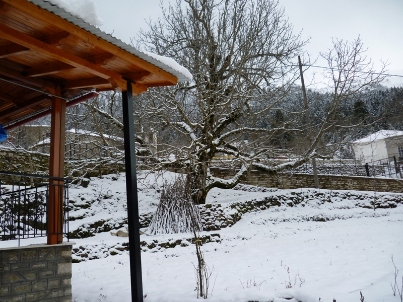 P1030277.JPG