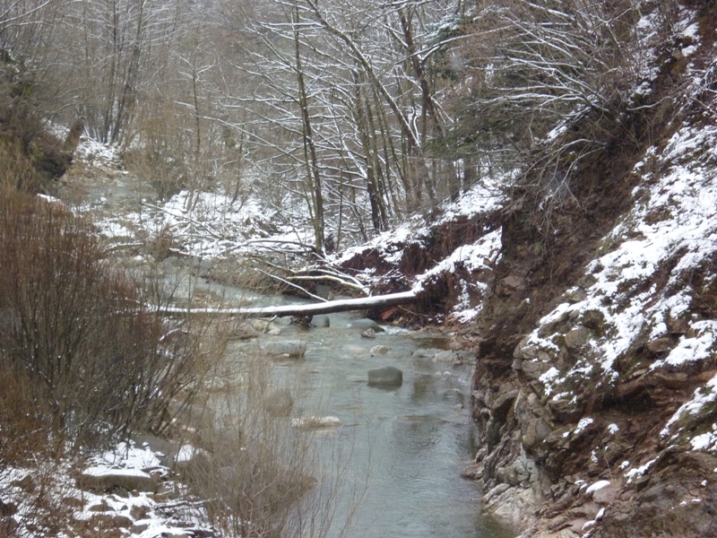 P1030290.JPG