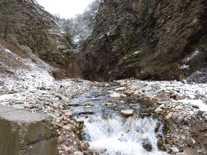 P1030320.JPG