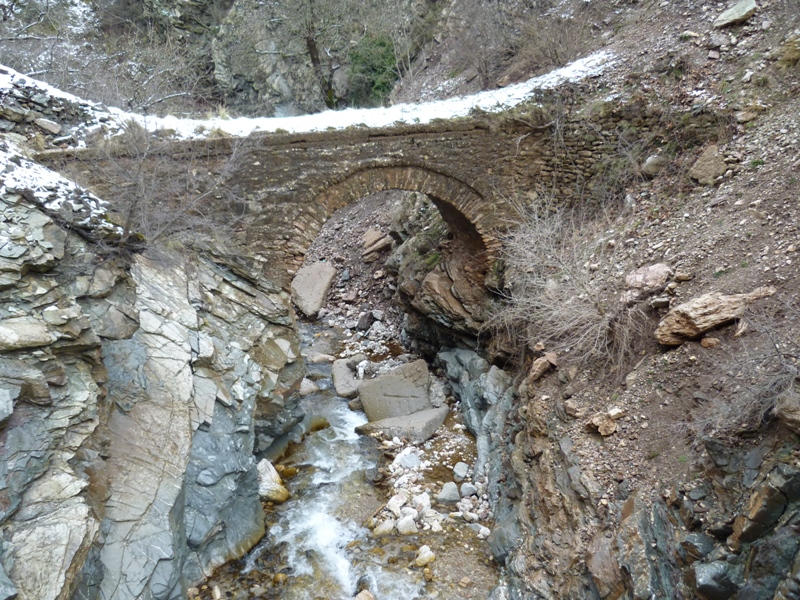 P1030326.JPG