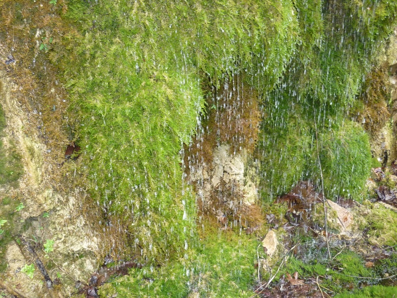 P1030340.JPG