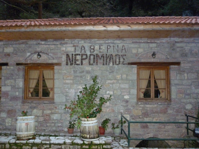 P1030377.JPG