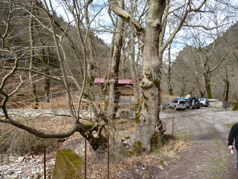 P1030418.JPG