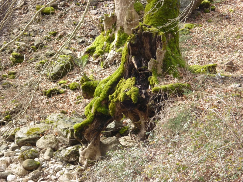 P1030424.JPG