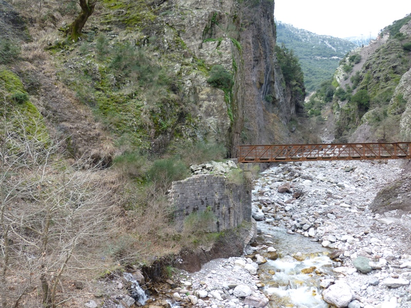 P1030435.JPG