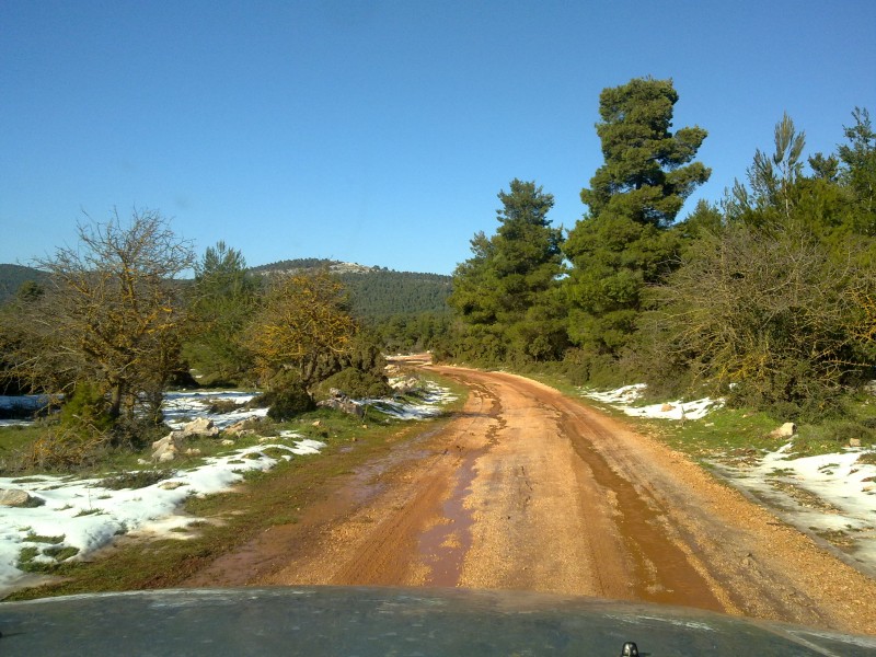 07022011179.jpg