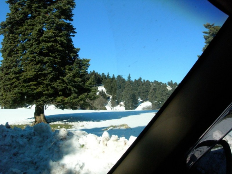125 6-2-1011 KENTRIKI EVIA 062.jpg