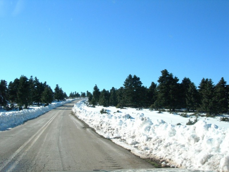 125 6-2-1011 KENTRIKI EVIA 061.jpg
