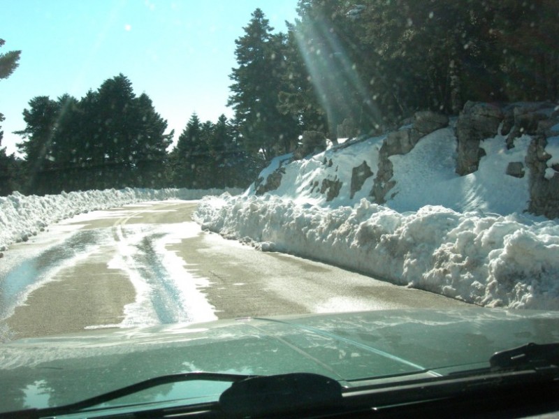 125 6-2-1011 KENTRIKI EVIA 059.jpg