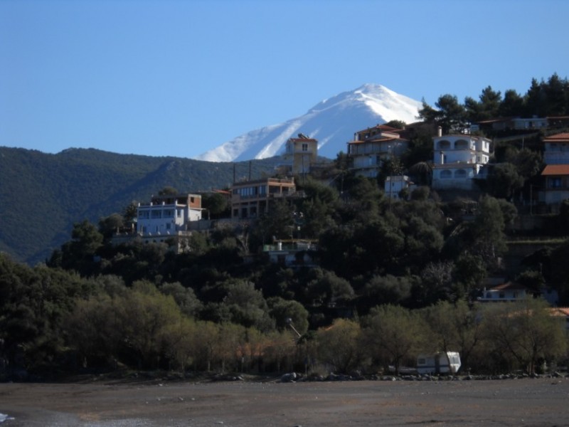 DSCN0046.jpg