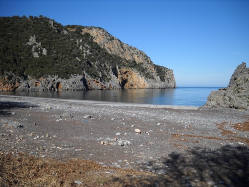 DSCN0042.jpg