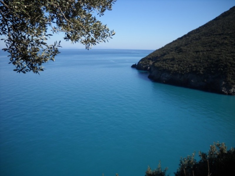 DSCN0036.jpg